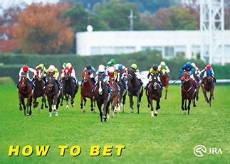 jra cup betting|Horse Racing Information(JRA) .